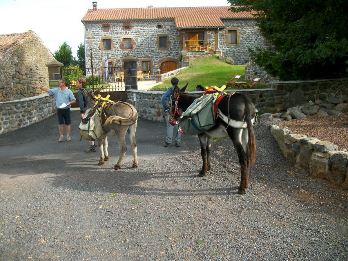 Le Clos Des Pierres Rouges Saint-Privat-dʼAllier Kültér fotó
